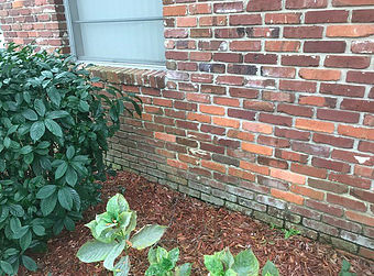 Dramatic yard clean up results for an overgrown property by JMK Lawn Care.